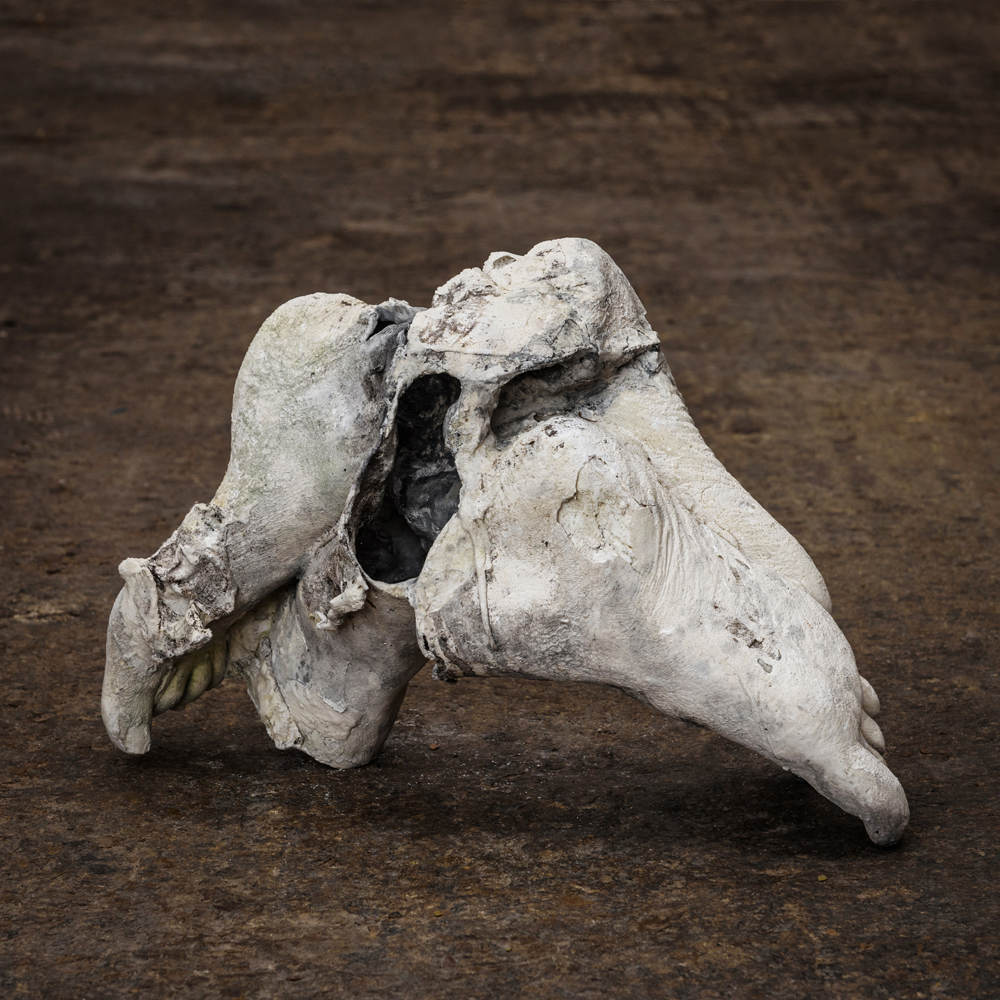 Portrait; Plaster