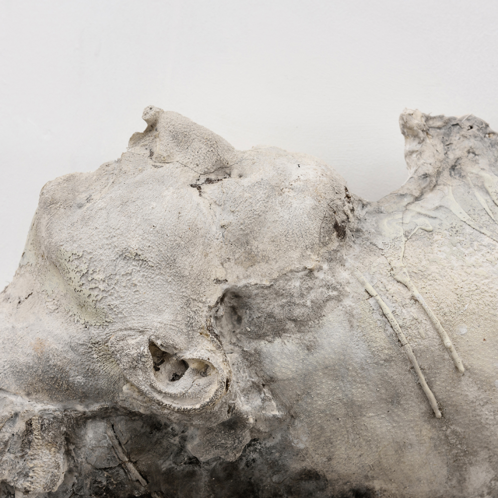 Time Worn; Plaster