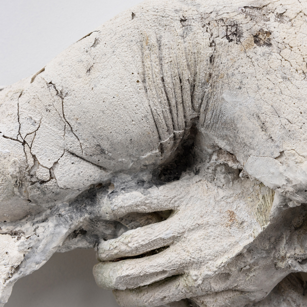 Time Worn; Plaster